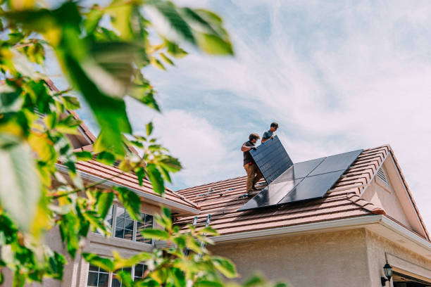 Best Roof Gutter Cleaning  in New Market, TN
